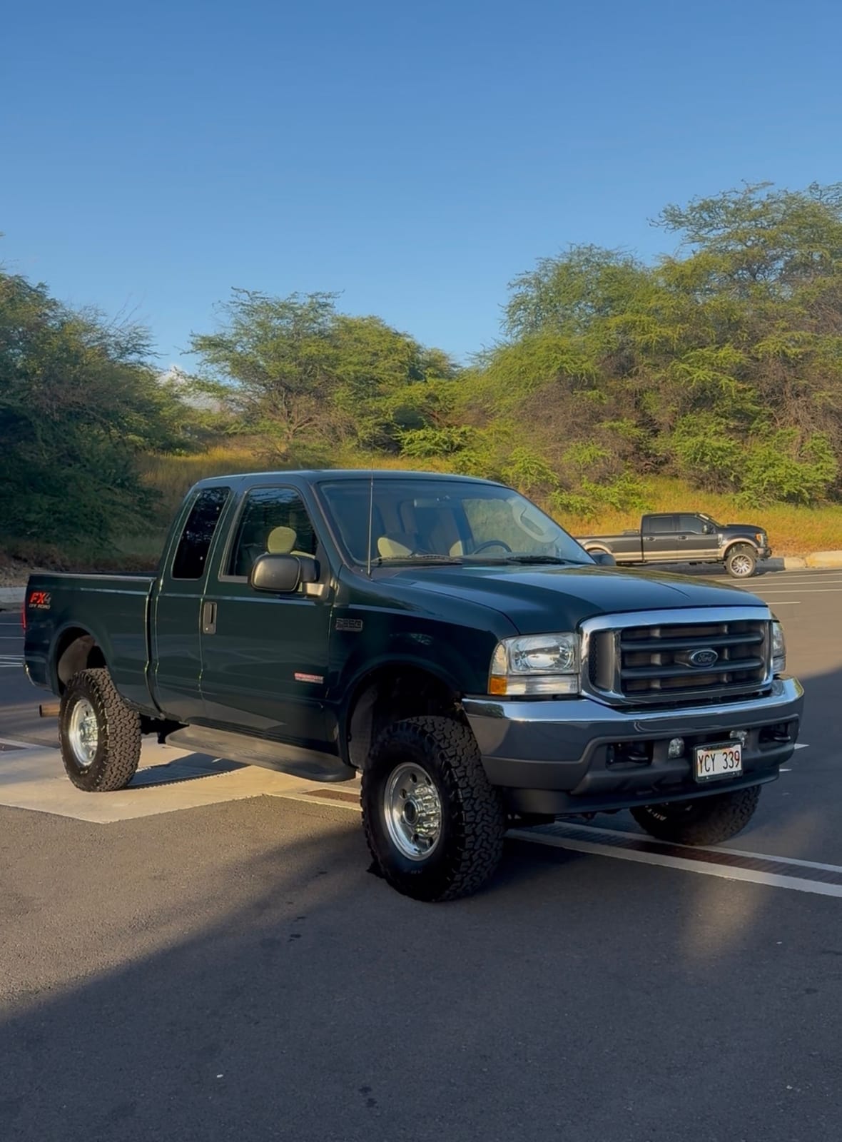 2003 Ford F-350, photo 1