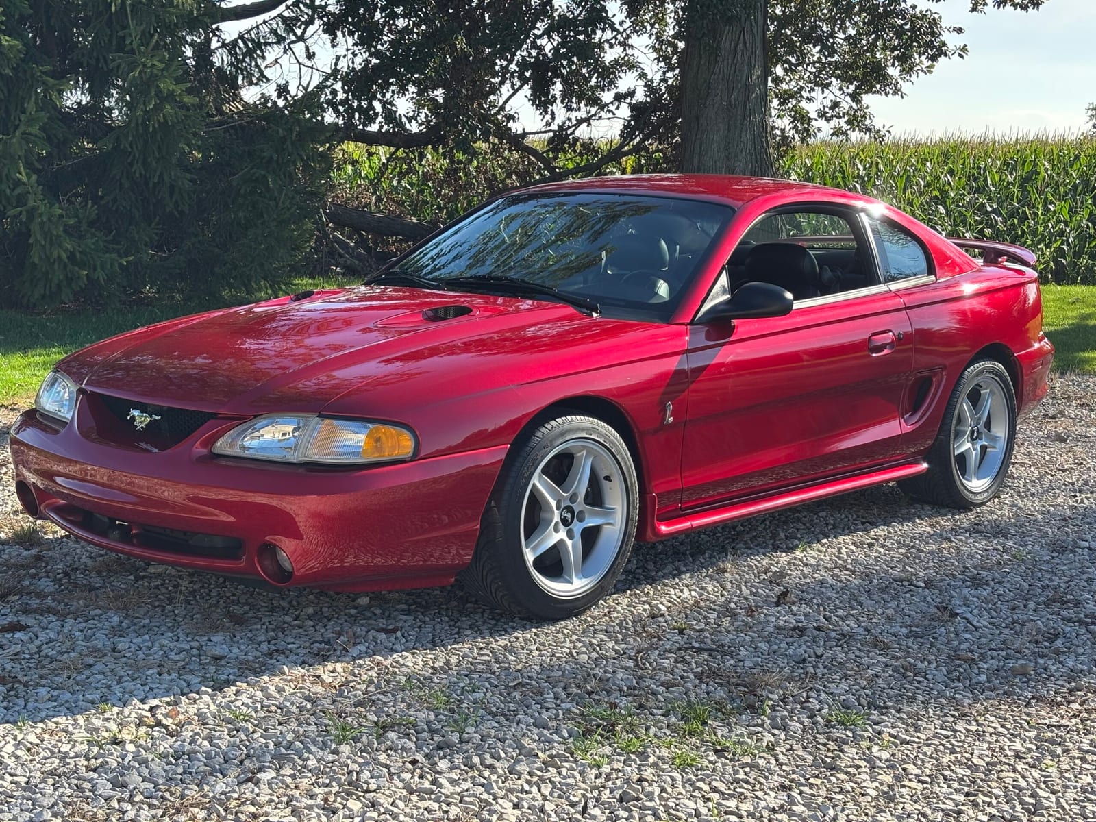 1996 Ford Mustang, photo 1