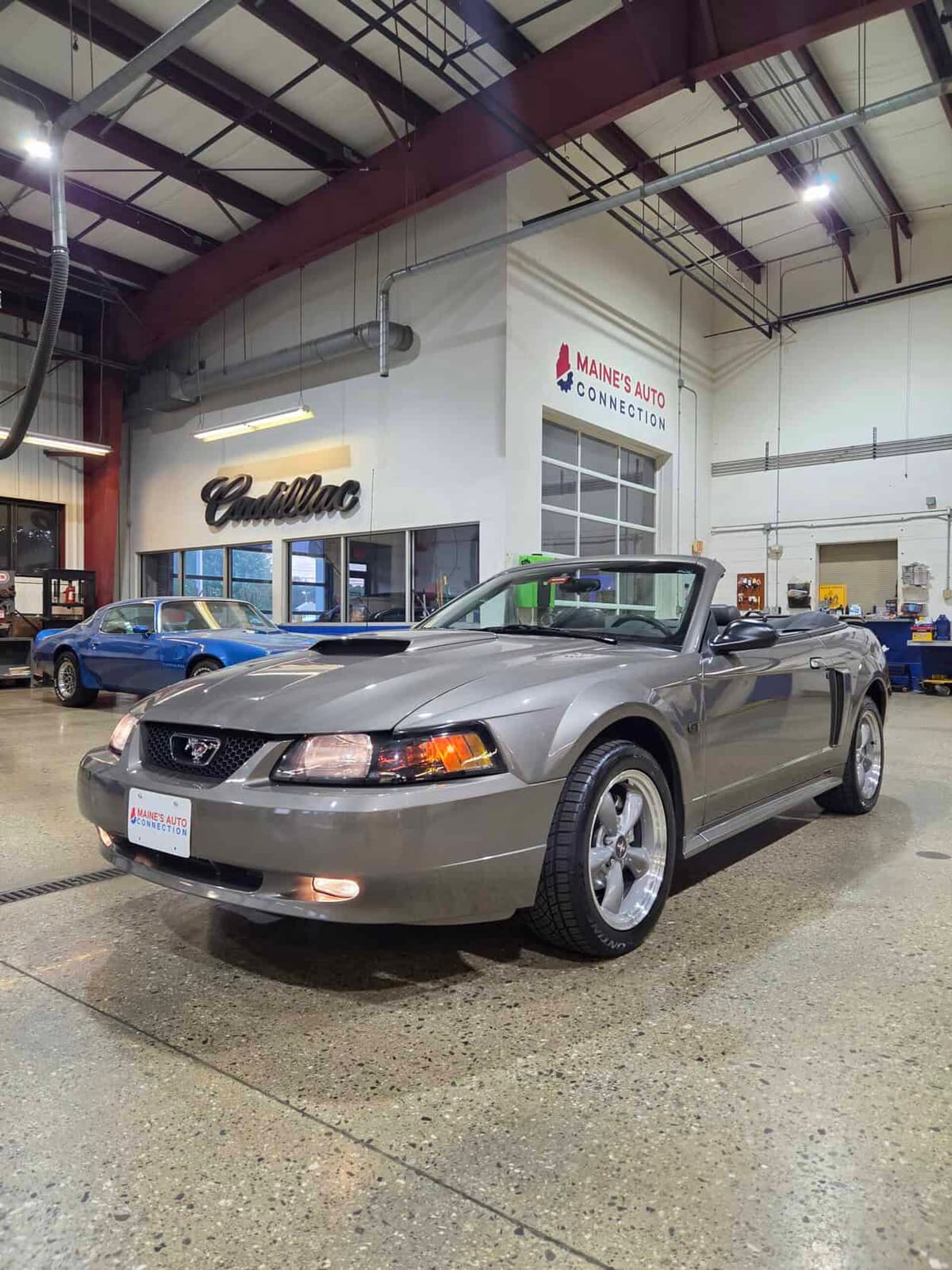 2002 Ford Mustang, photo 1
