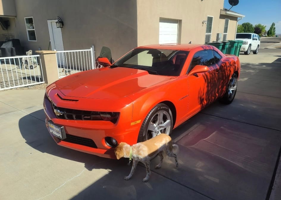 2010 Chevrolet Camaro, photo 1