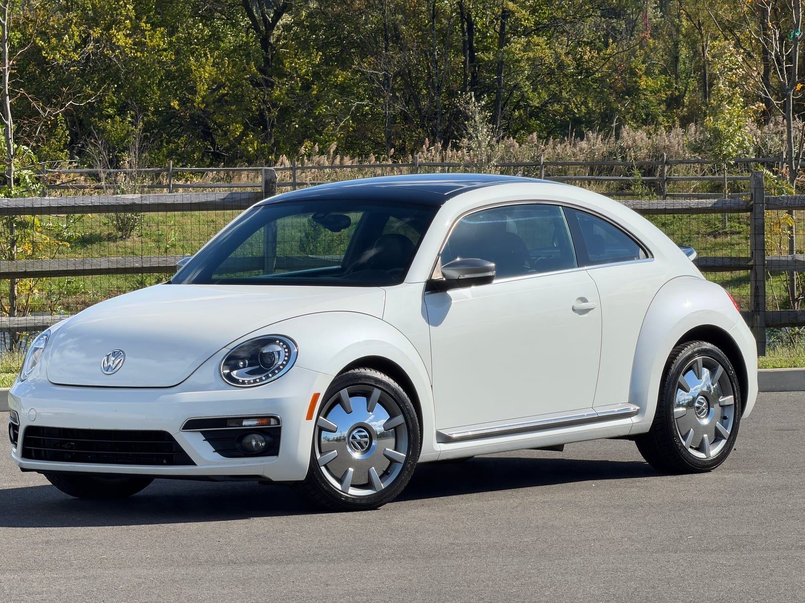 2014 Volkswagen Beetle